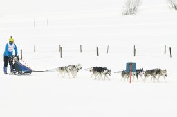 Studen 2015